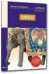 Orso