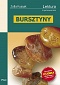 Bursztyny