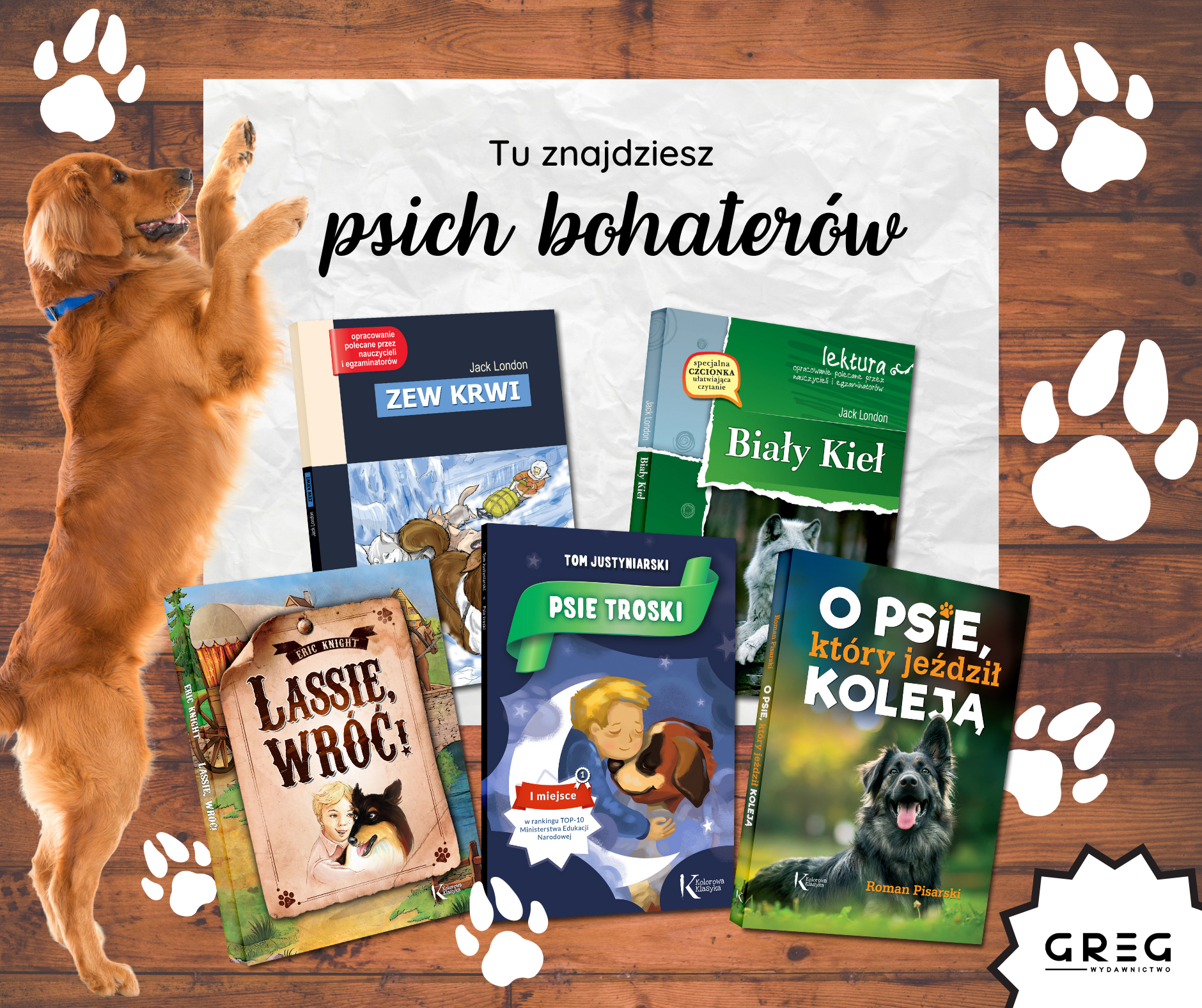 nagłówek grafika psy