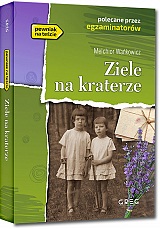 Ziele na kraterze - Melchior Wakowicz